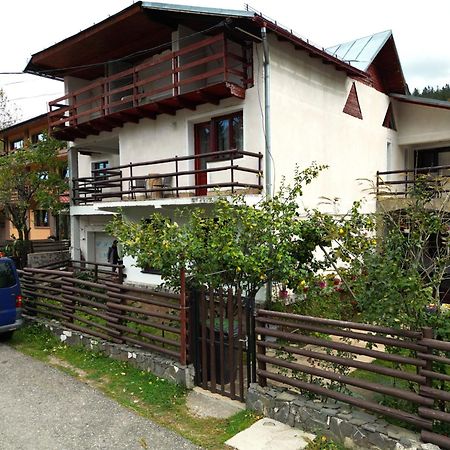 Vila Nik Busteni Exterior photo